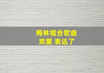 梅林组合歌曲 欢聚 表达了